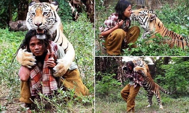 Sholeh dan Harimau, Bentuk Ikatan tak Terpisahkan